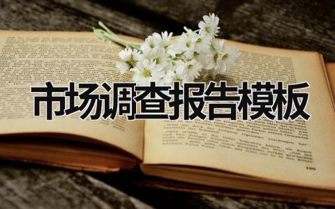 市場調查報告模板 市場調查報告模板格式 (18篇）