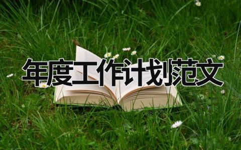 年度工作計劃范文 村衛生室年度工作計劃范文 (18篇）