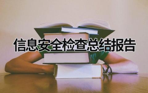 信息安全檢查總結報告 信息安全檢查總結報告范文 (16篇）
