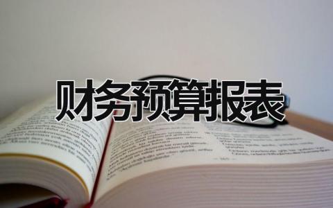 財務預算報表 財務預算報表不平衡怎么辦 (18篇）