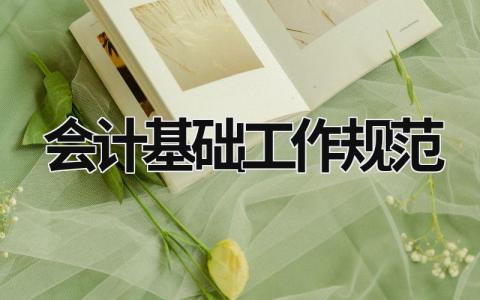 會計基礎工作規范 會計基礎工作規范2022修訂 (9篇）