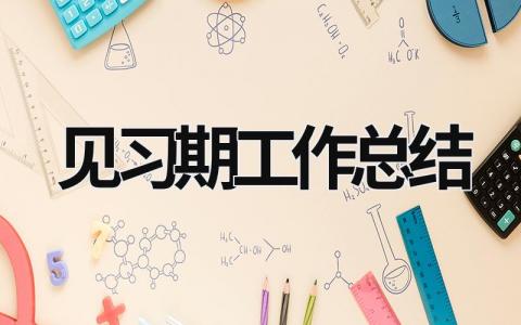 見習(xí)期工作總結(jié) 試用期內(nèi)對工作的總結(jié) (19篇）