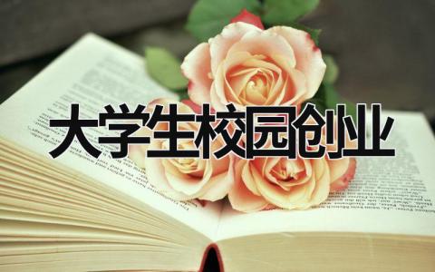 大學生校園創業 大學生校園創業計劃書 (21篇）