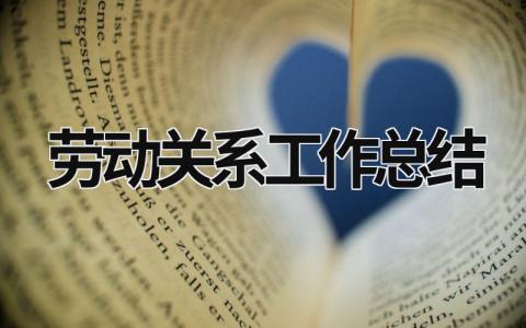 勞動關(guān)系工作總結(jié) 勞動關(guān)系工作總結(jié)范文 (19篇）