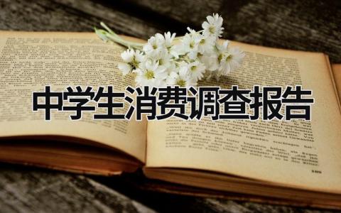 中學(xué)生消費(fèi)調(diào)查報(bào)告 中學(xué)生消費(fèi)調(diào)查報(bào)告200 (19篇）