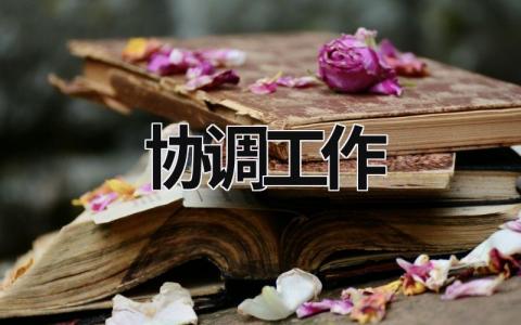 協調工作 協調工作的工作總結 (15篇）