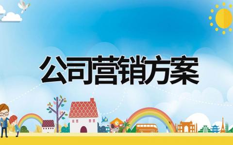 公司營銷方案 公司營銷方案講解優(yōu)秀的 (18篇）