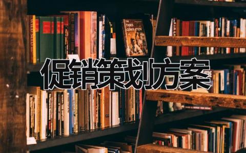 促銷策劃方案 電動車促銷策劃方案 (20篇）