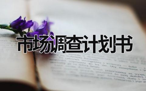 市場調查計劃書 大學生手機市場調查計劃書 (15篇）