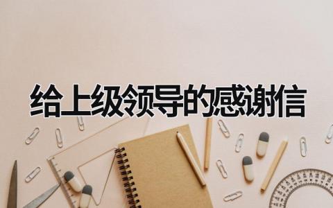 給上級領(lǐng)導(dǎo)的感謝信 寫給上級領(lǐng)導(dǎo)的感謝短信 (19篇）