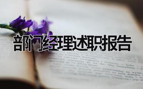 部門經理述職報告 部門經理述職報告 (17篇）