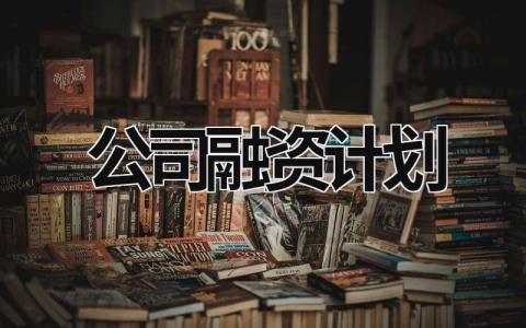 公司融資計劃 公司融資計劃例子 (17篇）