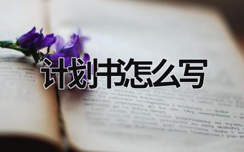 計劃書怎么寫 還款計劃書怎么寫 (17篇）
