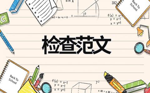 檢查范文 檢查范文個人 (16篇）