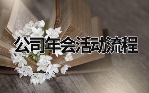 公司年會活動流程 公司年會活動方案策劃方案流程 (17篇）