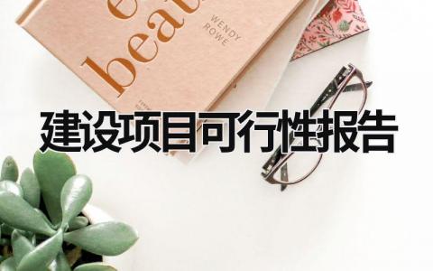 建設項目可行性報告 建設項目可行性報告可以用作的依據 (18篇）