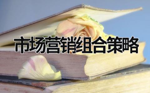 市場營銷組合策略 市場營銷組合策略 (19篇）