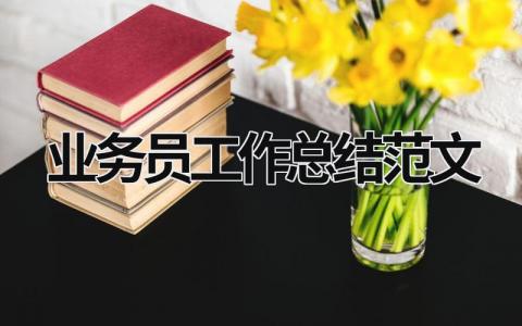 業務員工作總結范文  (17篇）
