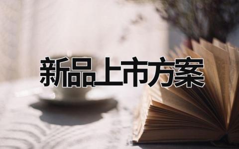 新品上市方案 新品上市方案怎么寫 (8篇）