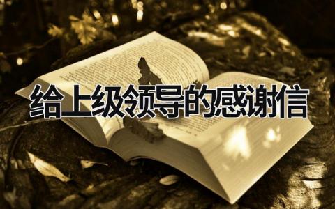 給上級領導的感謝信 寫給上級領導的感謝短信 (17篇）