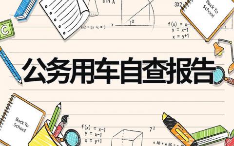 公務用車自查報告 公務用車自查報告怎么寫 (11篇）