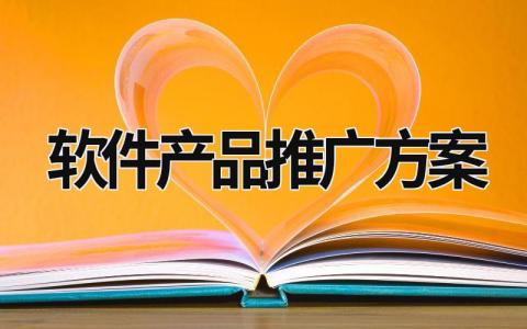 軟件產品推廣方案 軟件的推廣方案 (10篇）