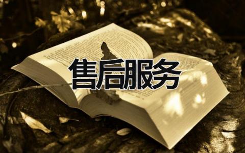 售后服務 售后服務承諾書范本 (17篇）