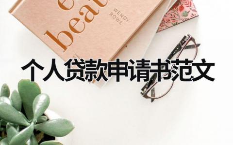 個(gè)人貸款申請(qǐng)書范文 個(gè)人申請(qǐng)貸款書范本 (11篇）