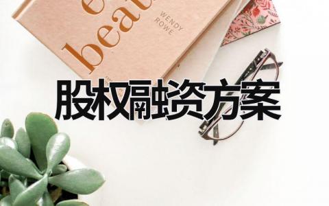 股權(quán)融資方案 股權(quán)融資方案具體例子 (9篇）