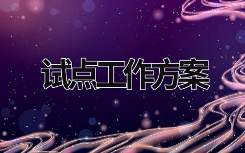 試點工作方案 試點工作方案 (16篇）