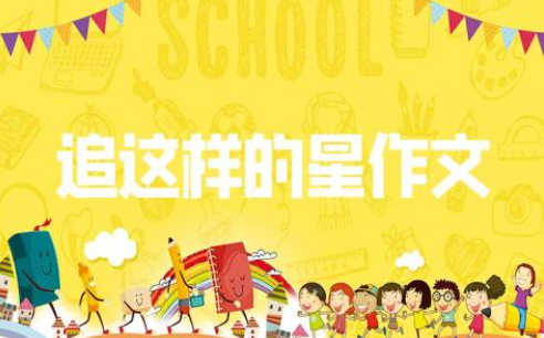 我追這樣的星作文600字范文精選22篇