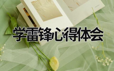 學(xué)雷鋒心得體會(huì) 學(xué)雷鋒心得體會(huì) (20篇）