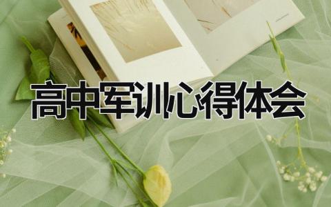 高中軍訓心得體會 高中軍訓心得體會500字 (17篇）