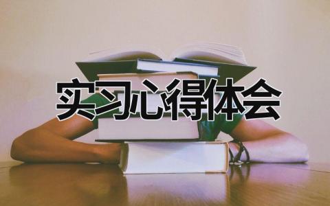 實習心得體會  (16篇）