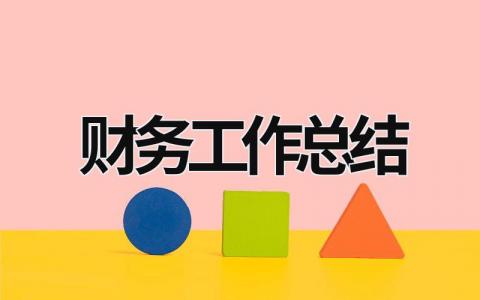 財務工作總結 財務工作總結及下一年工作計劃 (19篇）