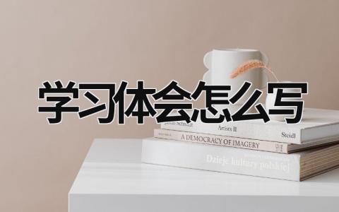 學習體會怎么寫  (9篇）