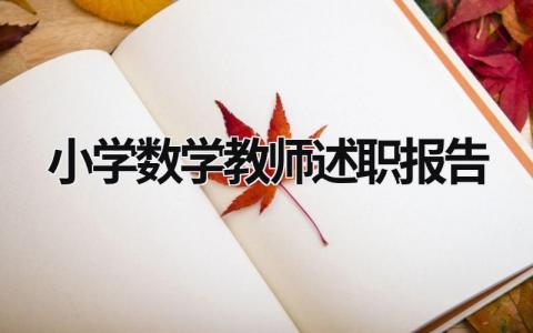 小學數學教師述職報告  (21篇）