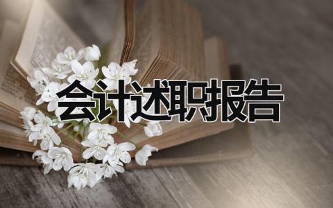 會計述職報告 2023村會計述職報告 (20篇）