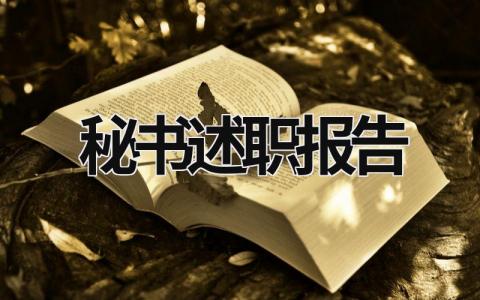秘書述職報告 文秘述職報告 (17篇）