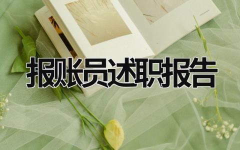 報賬員述職報告 報賬員述職報告ppt (19篇）