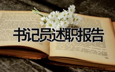 書記員述職報告 書記員述職報告政治 (20篇）