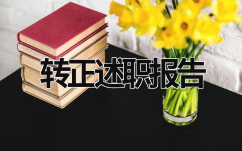 轉正述職報告  (16篇）