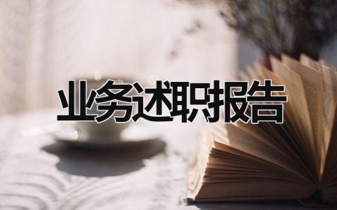 業務述職報告  (18篇）