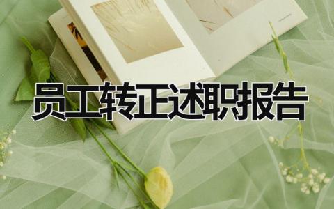 員工轉正述職報告 試用期員工轉正述職報告 (18篇）