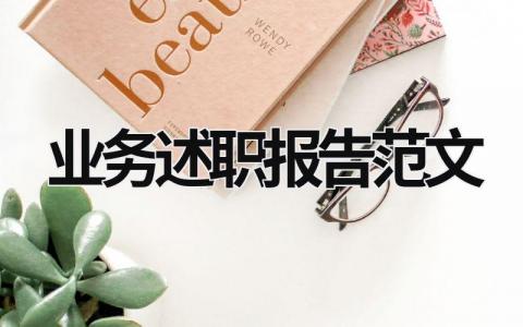 業務述職報告范文  (17篇）