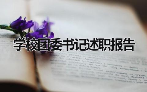 學校團委書記述職報告  (17篇）