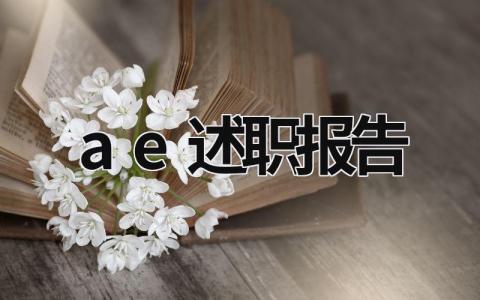 ae述職報(bào)告 aoi述職報(bào)告 (13篇）
