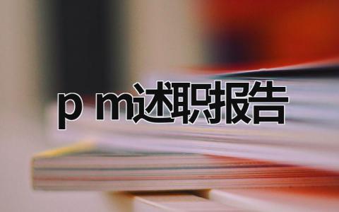 pm述職報告 pqe述職報告 (18篇）