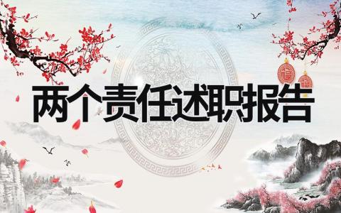 兩個責任述職報告 兩個責任述職報告范文 (19篇）