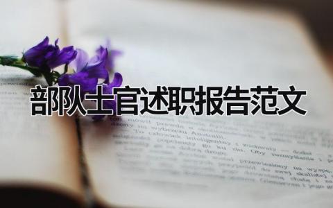 部隊士官述職報告范文 部隊士官述職報告2018述職報告 (6篇）